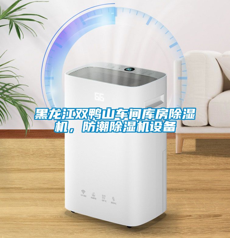 黑龍江雙鴨山車間庫房除濕機(jī)，防潮除濕機(jī)設(shè)備