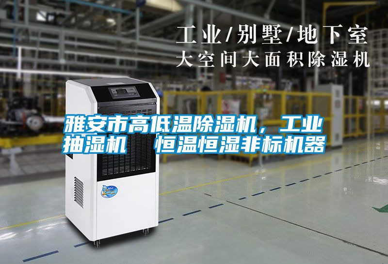 雅安市高低溫除濕機，工業(yè)抽濕機  恒溫恒濕非標機器