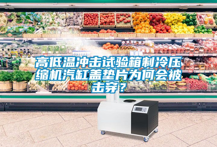 高低溫沖擊試驗(yàn)箱制冷壓縮機(jī)汽缸蓋墊片為何會(huì)被擊穿？