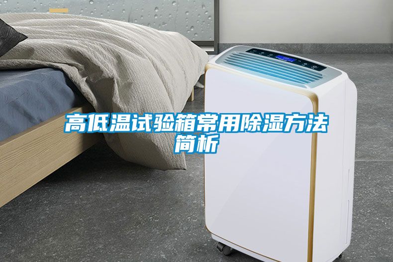 高低溫試驗(yàn)箱常用除濕方法簡析