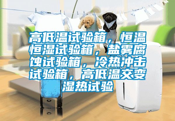 高低溫試驗箱，恒溫恒濕試驗箱，鹽霧腐蝕試驗箱，冷熱沖擊試驗箱，高低溫交變濕熱試驗