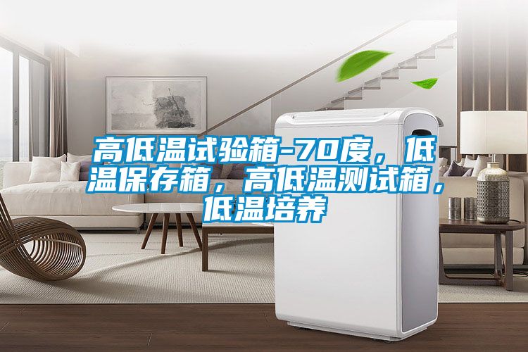 高低溫試驗箱-70度，低溫保存箱，高低溫測試箱，低溫培養(yǎng)