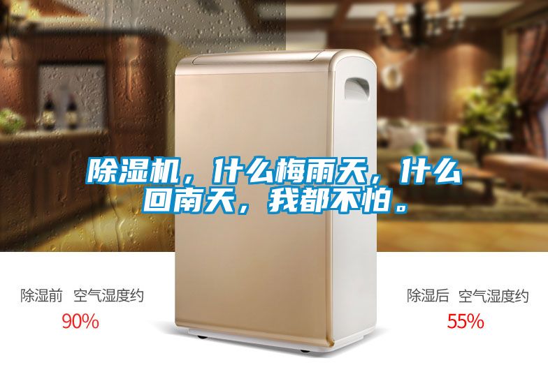 除濕機，什么梅雨天，什么回南天，我都不怕。