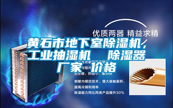黃石市地下室除濕機(jī)，工業(yè)抽濕機(jī)  除濕器廠家 價(jià)格
