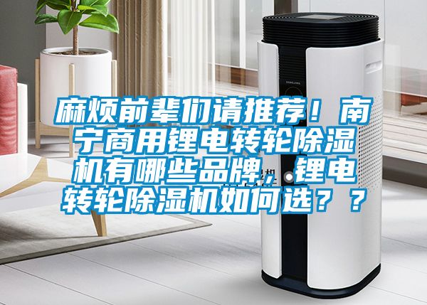 麻煩前輩們請(qǐng)推薦！南寧商用鋰電轉(zhuǎn)輪除濕機(jī)有哪些品牌，鋰電轉(zhuǎn)輪除濕機(jī)如何選？？