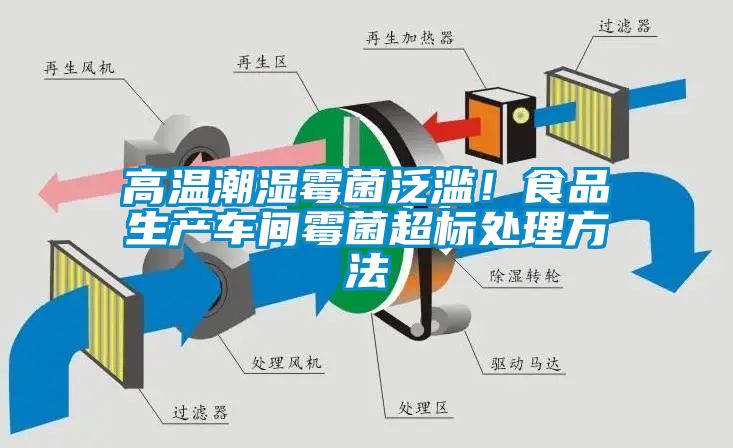 高溫潮濕霉菌泛濫！食品生產(chǎn)車(chē)間霉菌超標(biāo)處理方法