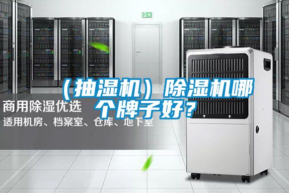 （抽濕機）除濕機哪個牌子好？