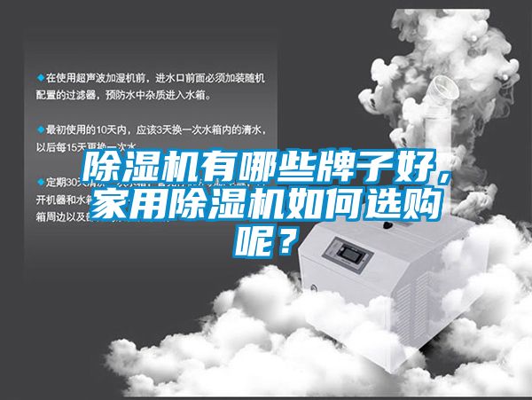 除濕機(jī)有哪些牌子好，家用除濕機(jī)如何選購呢？
