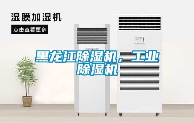 黑龍江除濕機，工業(yè)除濕機