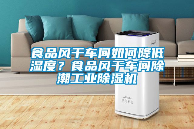 食品風干車間如何降低濕度？食品風干車間除潮工業(yè)除濕機