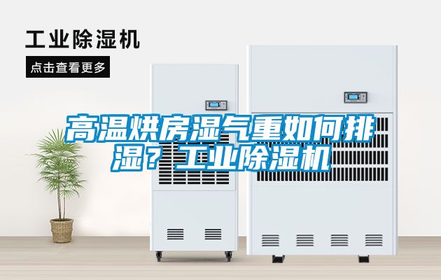 高溫烘房濕氣重如何排濕？工業(yè)除濕機