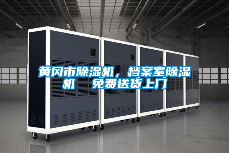 黃岡市除濕機(jī)，檔案室除濕機(jī)  免費(fèi)送貨上門