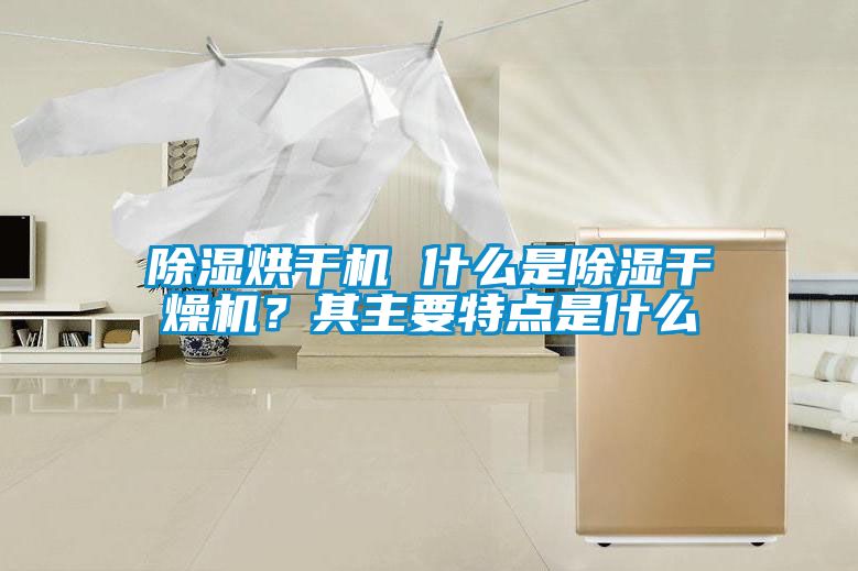 除濕烘干機 什么是除濕干燥機？其主要特點是什么