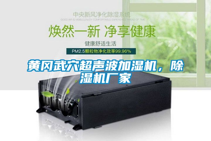 黃岡武穴超聲波加濕機，除濕機廠家